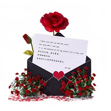 ꐵ؈����̈��Ż�õ�廨���b���滨���������ռٻ���ˇ�������˹�