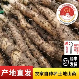 非处方滋补膏;西式糕点;姜茶/姜汤