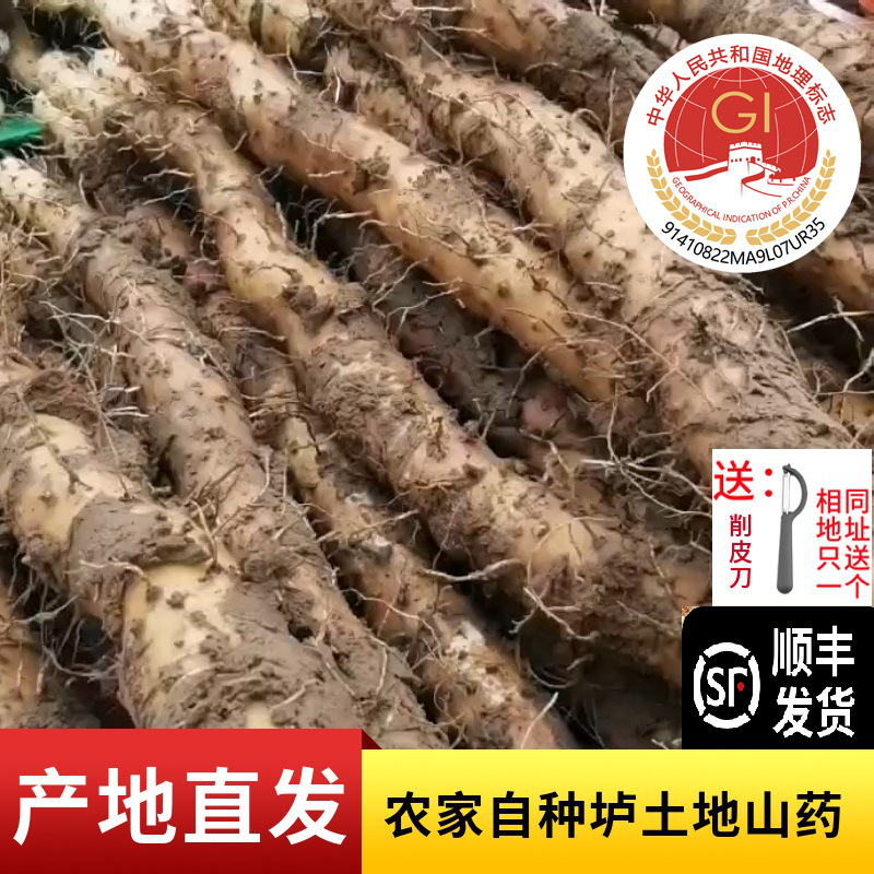 顺丰发货 佰俏源河南焦作怀山药农家自种垆土铁棍山药 鲜山药片