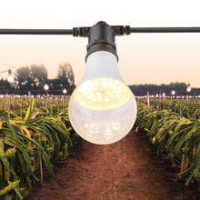 LEDȫ���Vֲ�����L���ݼ����҃Ȼ����m�����������辰ֲ����