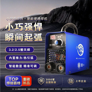 Ruiling Electric Welding Machine Digital Display Household 220v Portable Small Steel Cannon All Copper Core Inverter DC Mini Welding Machine