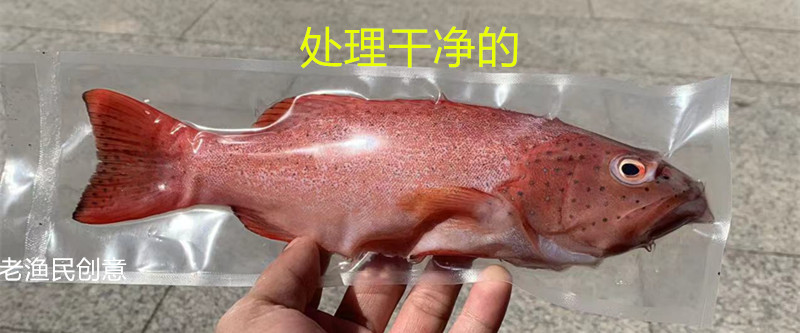 fe121acbe5cb7485f91f7d4675d6e2