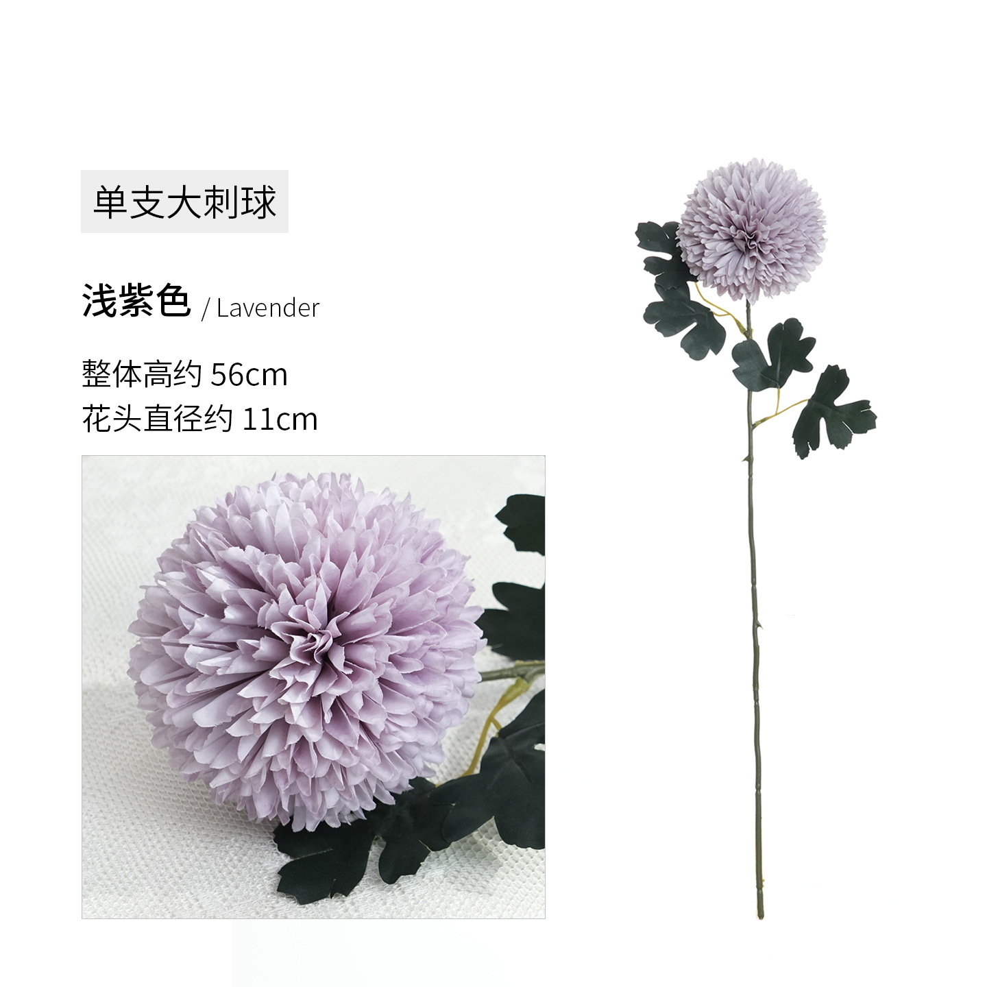 연한 보라색