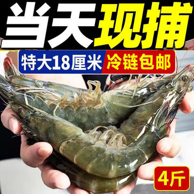 冻虾青岛大虾鲜活新鲜大虾特大号批发一箱对虾基围白海捕大虾厂家