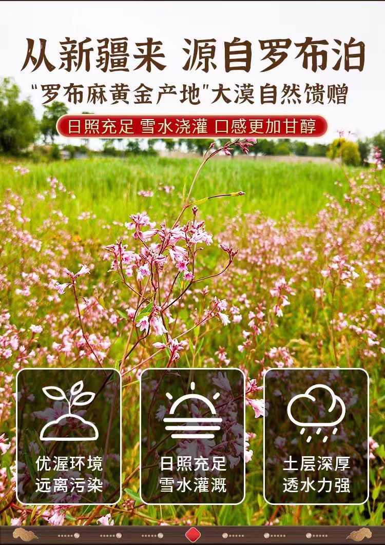 Xinjiang Wild Luobuma Tea (Apocynum venetum) — First-Flush Tender Leaves, 500g Loose Leaf Herbal Tea overview