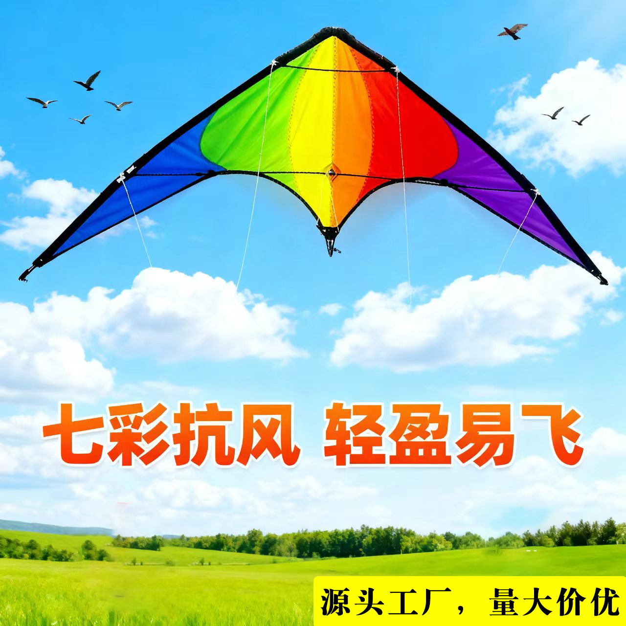 易飞成人风筝工具运动新款风筝双线放飞竞技大人专用特技潍坊风筝