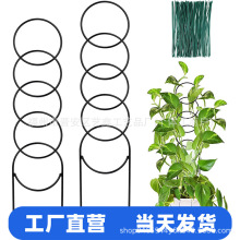 �҃�����ֲ����� ��������ֲ����hС���@��ֲ�����ֲ��֧��