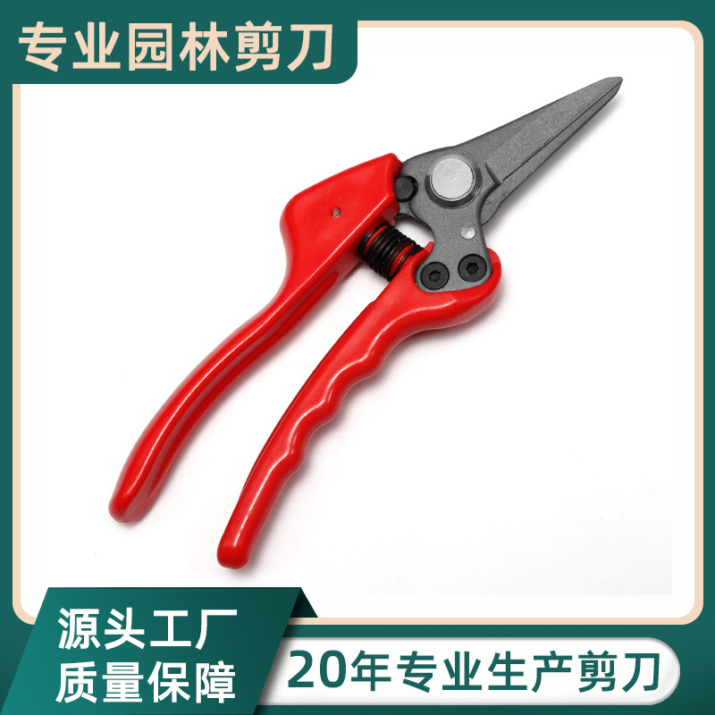 SK5特氟龙园林剪刀厂家批发园艺修剪工具修枝剪果树采摘剪刀