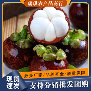 ̩��ɽ�����r�������10��ˮ��������S���]�r��������������5a