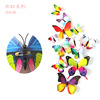 Three dimensional decorations on wall with butterfly, cloth, fridge magnet, set for living room, in 3d format, 12 items