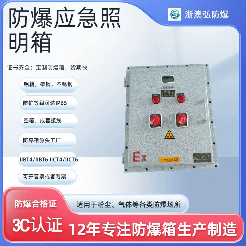 不锈钢防爆应急照明集中电源箱A型B型控制柜疏散照明灯消防电控箱
