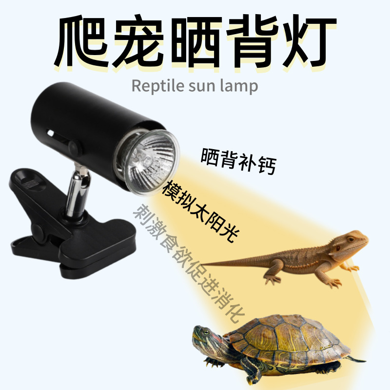Direct supply of turtle basking lamps, specifically designed for turtles and other reptiles, providing heat and warmth for basking and calcium supplementation Direct supply of turtle basking lamps, specifically designed for turtles and other reptiles, providing heat and warmth for basking and calcium supplementation