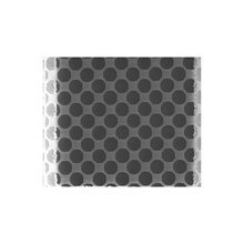 ��Quantifoil���̼ĤR 1/2