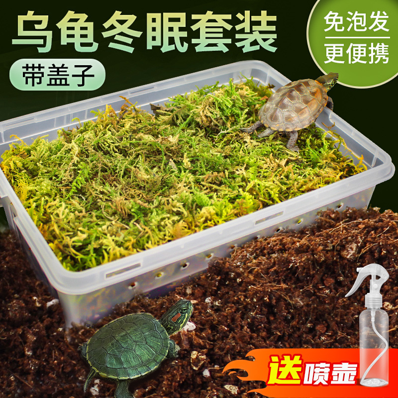 Coconut soil foam-free coconut brick turtle hibernating supplies spider scorpion yellow rim mat hamster grass turtle warm moss soil