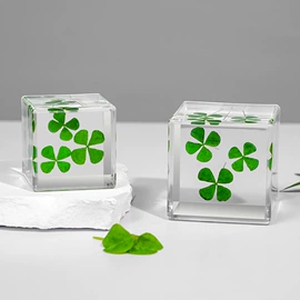 树脂工艺品;标本;工艺礼品项目