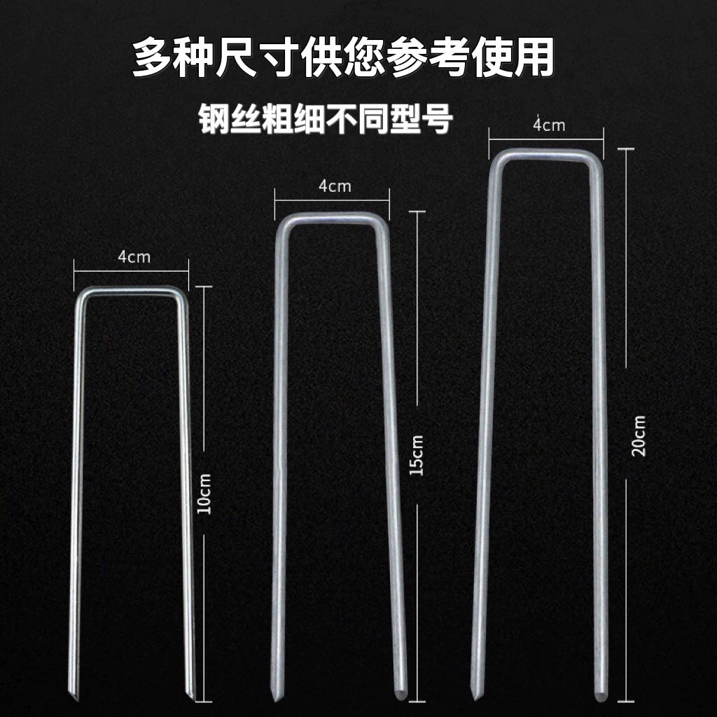 微信图片_20241217093845