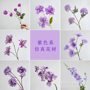 ��ɫ���滨ϵ�� ��c·�ň����b��þƵ��b� �Ĕz���ߏS�����l