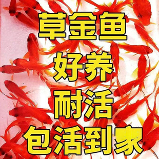 ���~�^�p�~�猙�������B�ͻ�С�~���~�B��������ˮ�~���l��ȫ