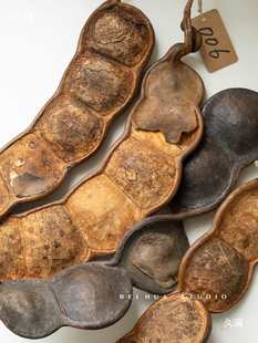 �^�����ޘ}���� �Ꭷ����ƽ�������v������ ���̨�N�������b�