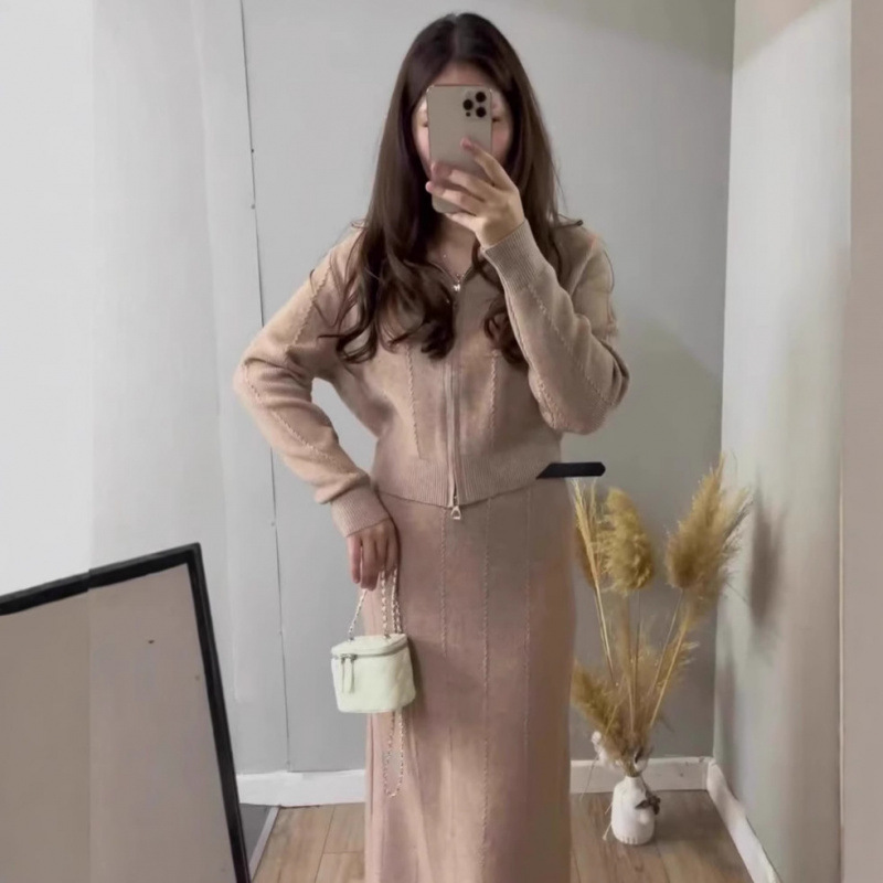 2025春の新型越境欧米の外国貿易の婦人服の純色の長袖のファスナーのコートの半身のスカートのファッションのスーツ|undefined
