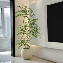 南天竹仿真绿植室内客厅高级仿生植物假树高端轻奢花大型落地盆栽