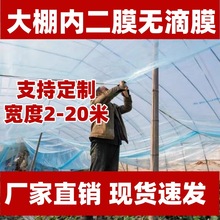 4丝大棚塑料膜大棚内膜二层膜二膜保温防冻膜果树防寒小拱棚膜PE