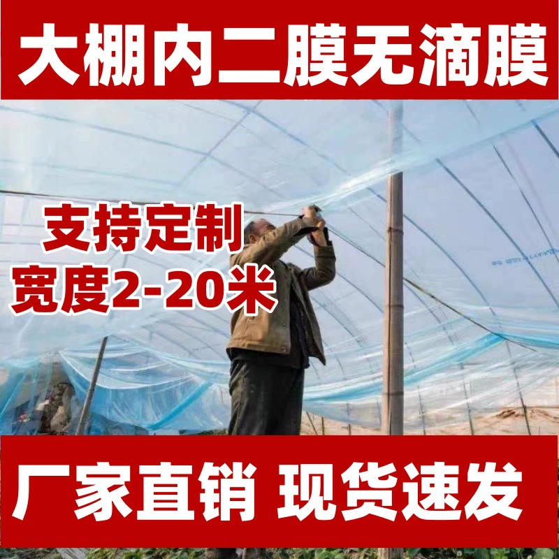 4-проводная теплица полиэтиленовая пленка внутренняя мембрана для теплицы двухслойная изоляционная двухпленочная пленка антизамерзающая пленка для фруктового дерева морозостойкая пленка для небольшого арочного сарая PE