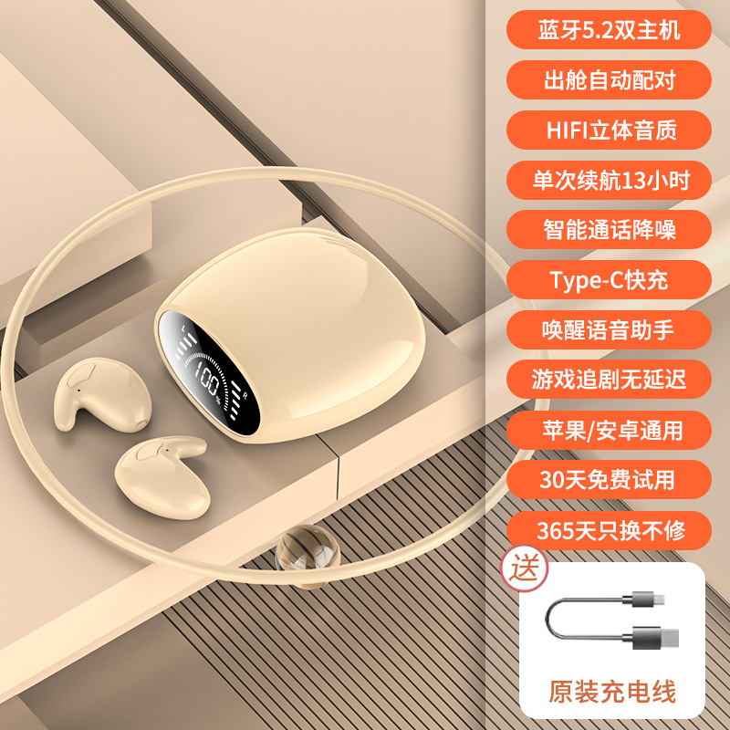 스킨 컬러 [TYPE C 빠른 충전 + HIFI 음질]]