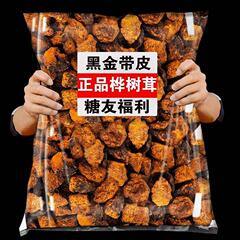 ロシア輸入チャーガ本店の本物の長白山野生黒金白樺茶の効能と役割