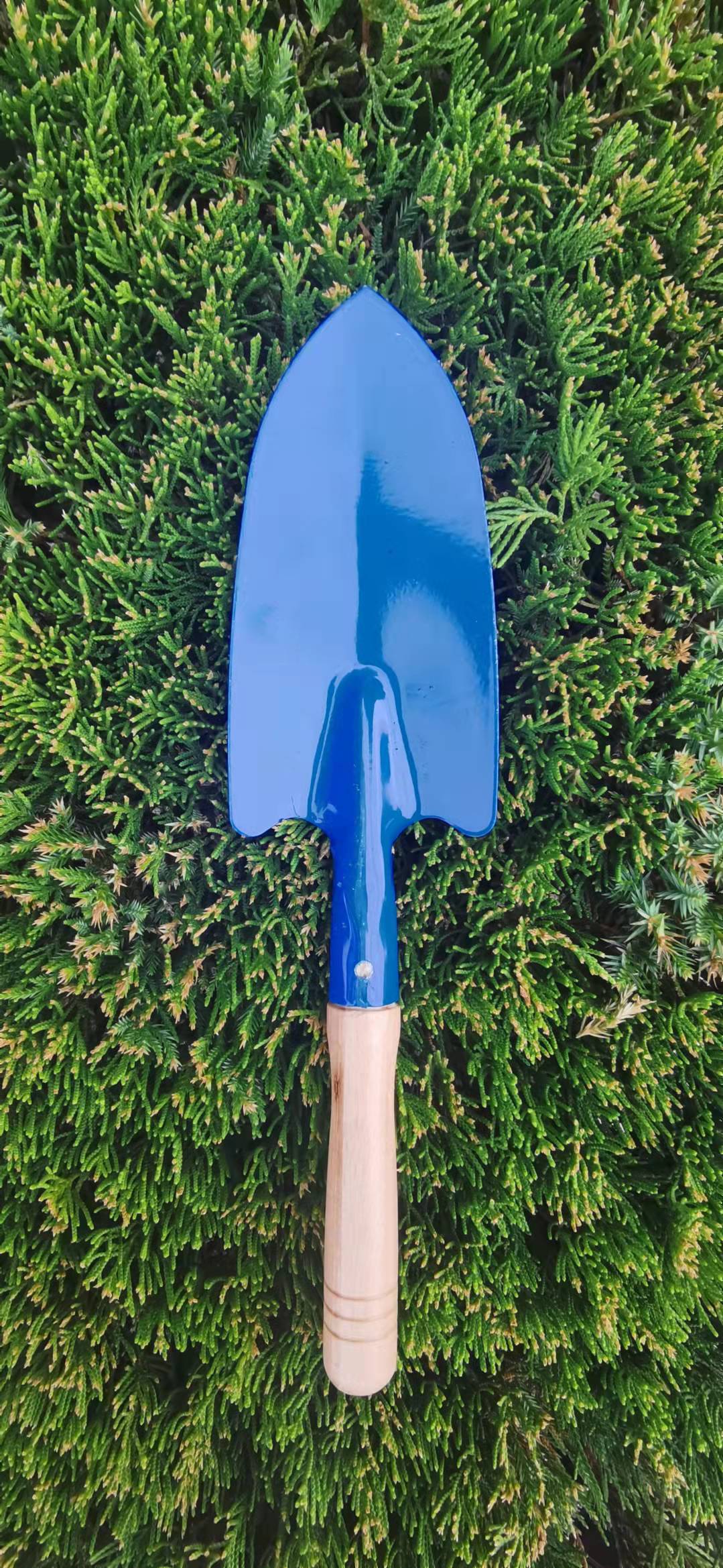 bc25797cf04ea72de2675e5925b53f