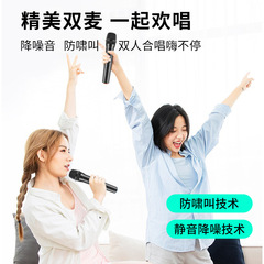 Wireless microphone one-to-two dynamic microphone home conference stage audio amplifier computer karaoke universal microphone