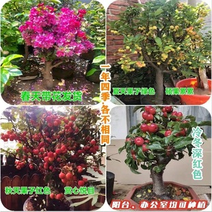 ���Ĺ����t���辰�Ϸ������������^�pʳ�����Ե����Ϙ��L�۹��̨