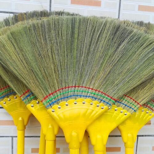Wholesale broom grass sweepers, floor reeds, reed mops, broom sorghum, sweep fine dust, broom broom grass, tail grass, large sweep
