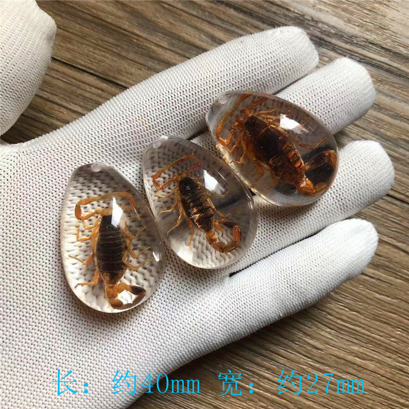 儿童挖掘考古昆虫标本 合成树脂琥珀昆虫 散装水滴盲盒标本现货|undefined