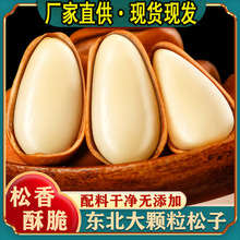 新鲜现货原味东北开口松子500g批发手剥红松坚果年货新鲜去壳仁