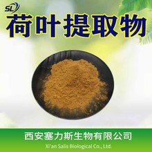 塞力斯生物供应荷叶碱比例提取物荷叶提取物现货供应规格齐全
