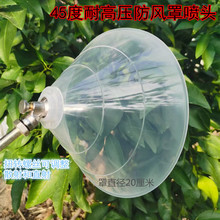 ���F�������ִ������ΈA�·��^�����L�� ���F����� �r �@ˇ���l