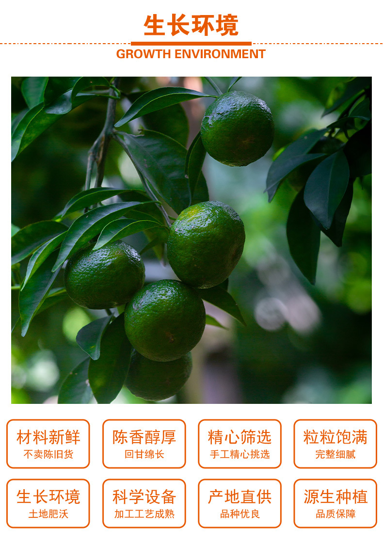Chen Pi Shreds (Citrus reticulata) — Aged Tangerine Peel Food Herb for Tea & Wellness key features