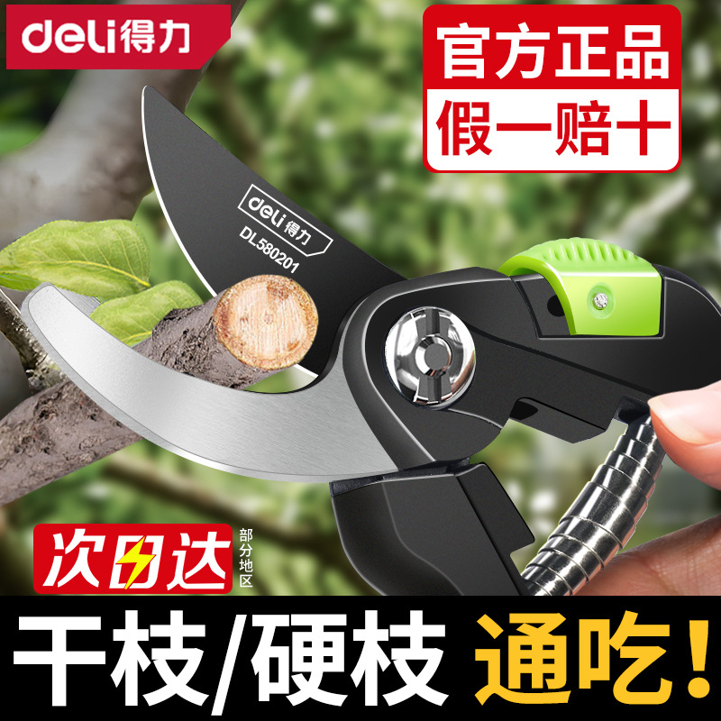 得力工具 修枝剪合金钢花木剪果树修枝园林园艺花卉家用 DL580101