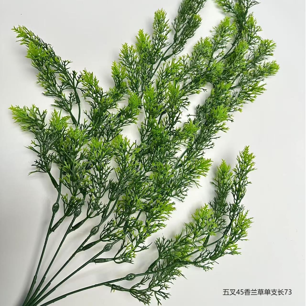 바닐라