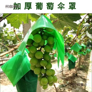 Thickened Grape Umbrella Cover Non-Woven Bag Grape Bag Three-Color Grape Fruit Bag Bagging Bag Anti-Sunburn Anti-Maibao