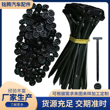 �羳�����������۴���ᔹ̶���܇�װ��~�Ӱ���������̶�����