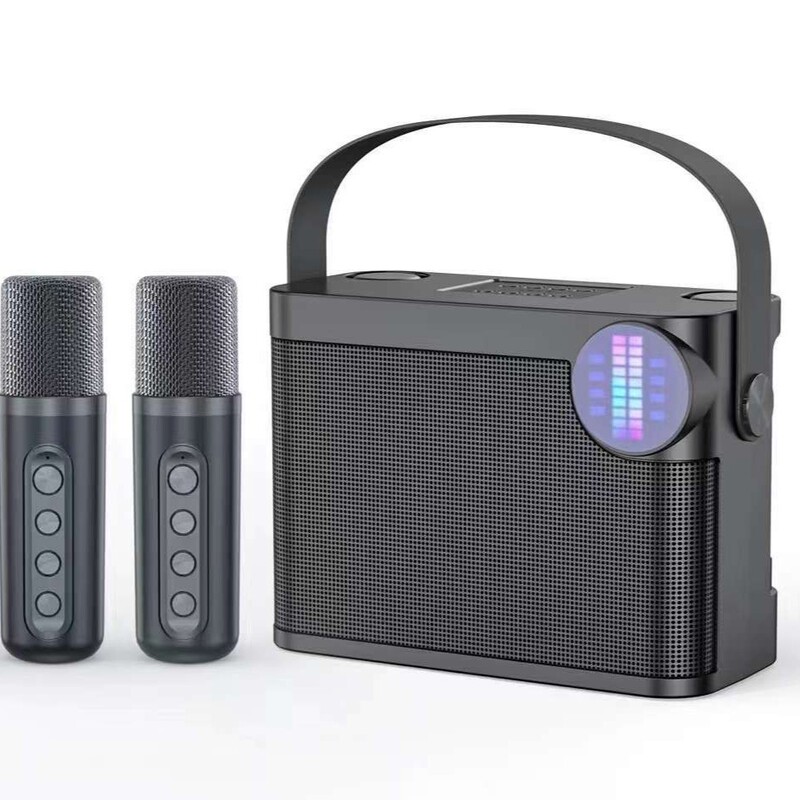 Hot-Selling New Outdoor Family Party Set Karaoke Device Ys-210 Wireless Microphone Bluetooth Speaker