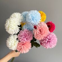 ���滨3�^��ջ���c���ò廨�Ҿ��bzӰȫɫϵ�Ƶ�����b�