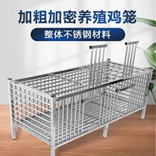 P䓻\u\ӻ\ӻ\ó̖ӺBֳ\