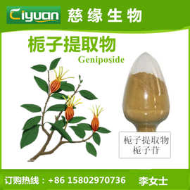 栀子提取物 黄果子山栀子/水栀子提取物 Gardenia P.E.优质品现货