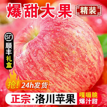正宗陕西洛川苹果红富士10斤新鲜当季孕妇水果时令脆甜陕西一级果