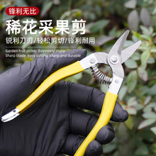 �����r�ò��P�ժ������ɰ�����߹��A�^�������l�ٗl�޼�������֦