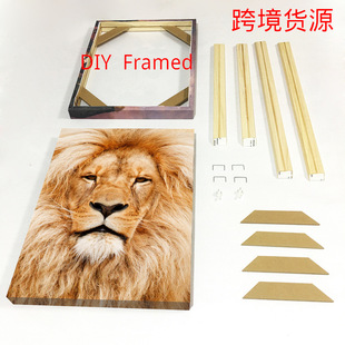 ��ľ�ȿ����ͮ���ľ��o�򮋌�ľ��򾀗l����Ҏ���c���߿�