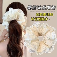 �ٽz���c���c�lȦ�nϵŮ2025�¿�߼����Rβ�l�K���^�^�K�^���^�